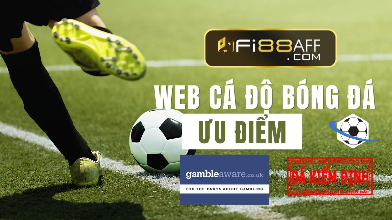 Ưu điểm khi tham khảo đánh giá cùng fi88