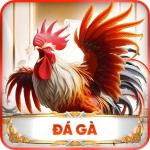 đá gà FI88